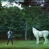 Alphaville_2010_014.jpg