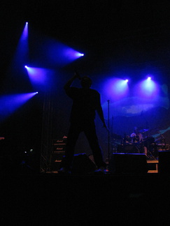 IMG 4547