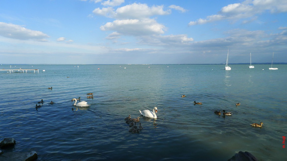 01 Balaton P1010661
