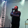 IMG 0433