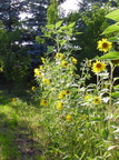 P8090702