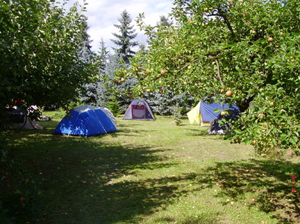 P8090656