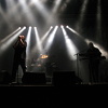 IMG 4565