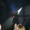 AV in Zwigge 013