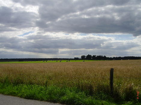 P8090670.jpg